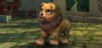 Lucky Quilen Cub
