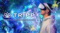 TRIPP: A New Way to Meditate [PS5]