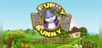 Funny Bunny Adventures