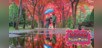 Hokkaido: Scenic Journeys - Little Adventurers