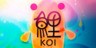 Koi DX