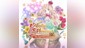 Atelier Meruru ~The Apprentice of Arland~ DX