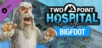 Two Point Hospital - BIGFOOT