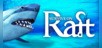 Survive on Raft