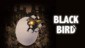 BLACK BIRD