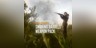theHunter: Call of the Wild - Smoking Barrels Weapon Pack