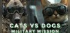 Cats VS Dogs Military Mission