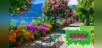 Colorful Garden