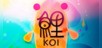 Koi DX