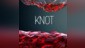 Knot
