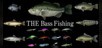 THE Bass Fishing
