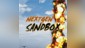 NEXTGEN SANDBOX
