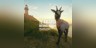 theHunter: Call of the Wild™ - Te Awaroa National Park