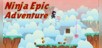 Ninja Epic Adventure