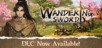 Wandering Sword