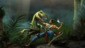 Turok