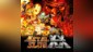METAL SLUG XX