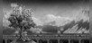 The Bridge