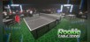 Rookie Table Tennis