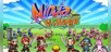 Ninja Village