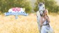 My Life: Riding Stables 3