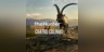 theHunter™: Call of the Wild - Cuatro Colinas Game Reserve