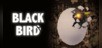 BLACK BIRD
