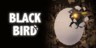 BLACK BIRD