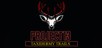 Project 13: Taxidermy