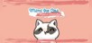 Mimi the cat: Mimi's Scratcher