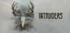 Intruders: Hide and Seek