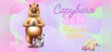 Capybara Zen Premium Edition