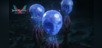 DMC5SE - 3 Blue Orbs [PS5]