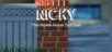 Nicky - The Home Alone Golf Ball