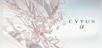 Cytus α