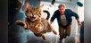 Cat Simulator: Neighbor's Nightmare [PS4]