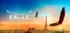 Eagle Flight (Oculus)