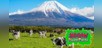 Fujiyama - Mountain Fuji -
