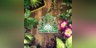 House Flipper - Garden