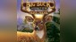 Big Buck Hunter Arcade